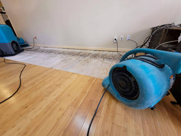 Professional Basement Flood Cleanup technician working in Bethlehem, NC